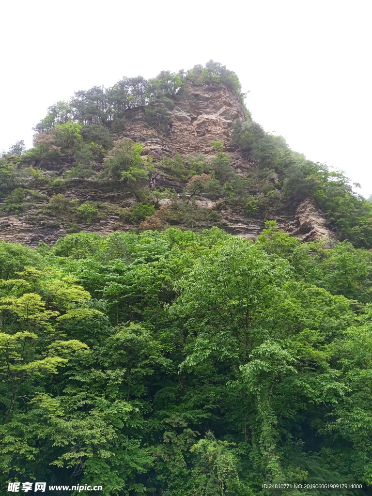 青山绿水