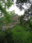 青山绿水