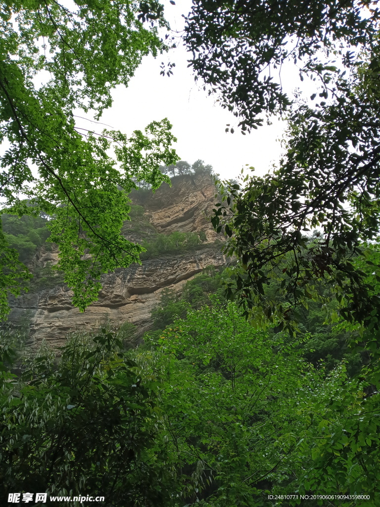 青山绿水