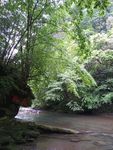 黎平公园