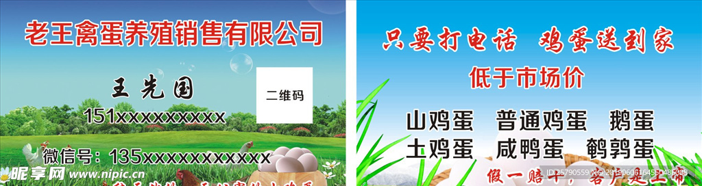 山鸡蛋名片