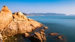 海岸