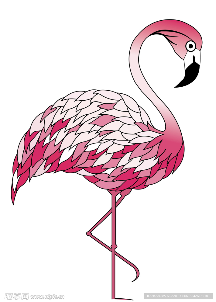 火烈鸟  矢量文件