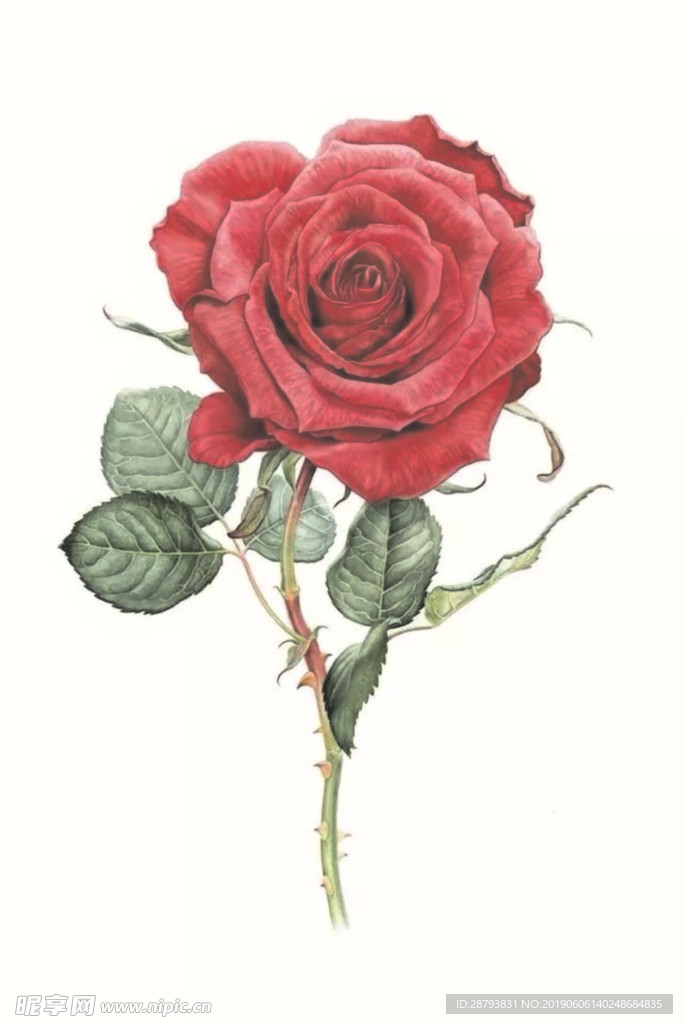 花卉 素材 元素  昆虫 海报