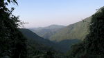 梧桐山