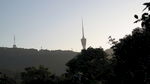 梧桐山