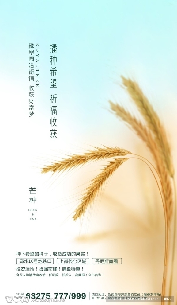 芒种