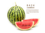 透明西瓜图片
