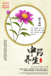 手绘芍药