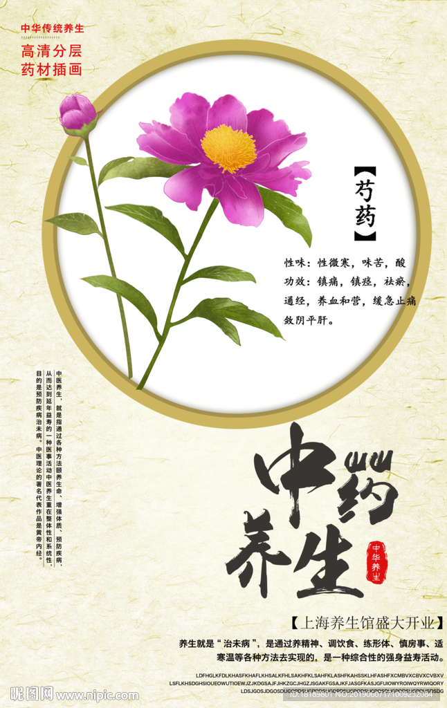 手绘芍药