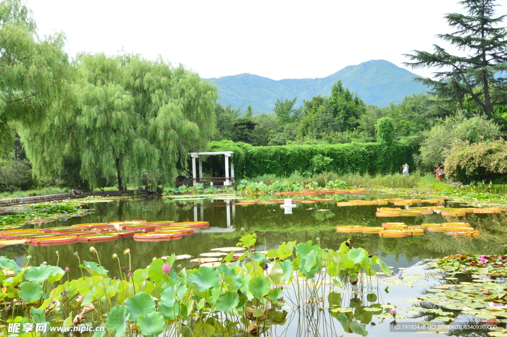 南植物园美景