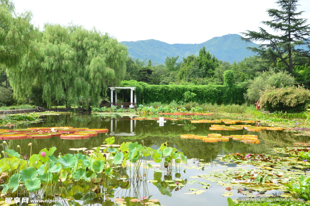 南植物园美景