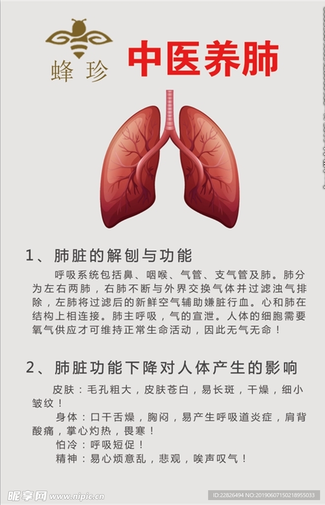 中医养肺