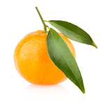 橙子