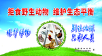 保护动物