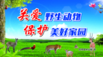 关爱野生动物