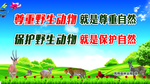 保护动物