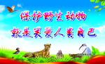 保护野生动物