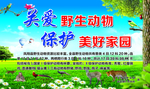 关爱保护野生动物