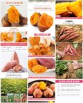 四川红心水果红薯蜜薯详情页
