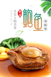 鲍鱼海报 团购鲍鱼 鲍鱼捞饭