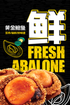 鲍鱼