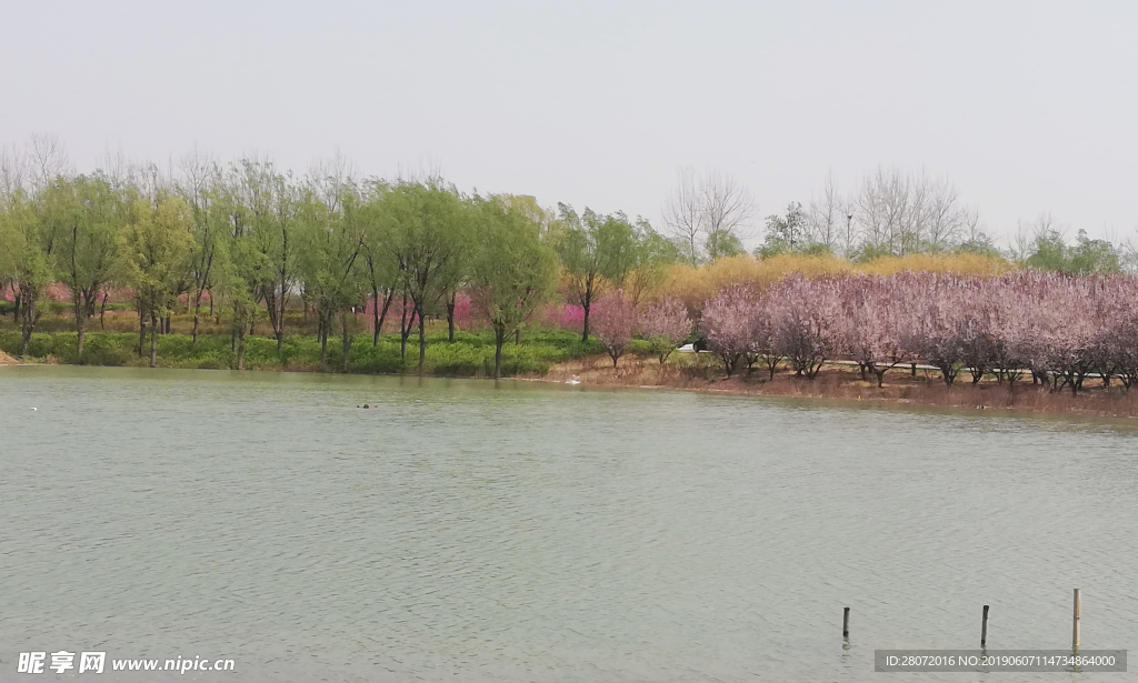 湖边风景