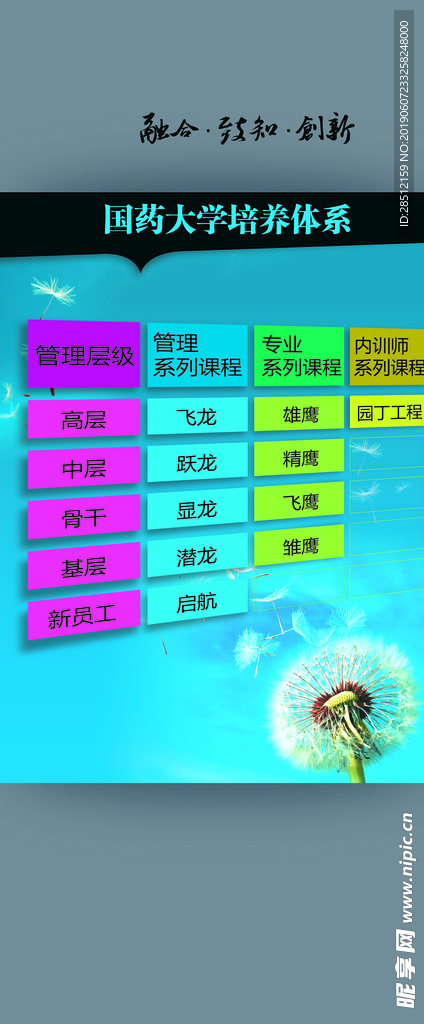 创意竖版海报大学培养体系海报