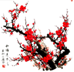 古风 国风 工笔画花 免抠素材