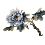 古风 国风 工笔画花 免抠素材