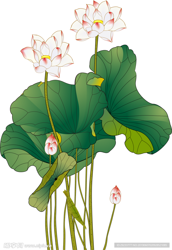 古风 国风 工笔画花 免抠素材