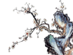 古风 国风 工笔画花 免抠素材