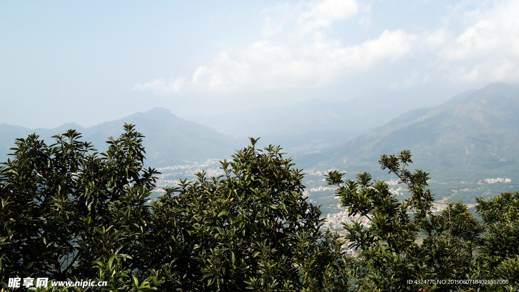 山景