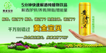 黄金宝贝