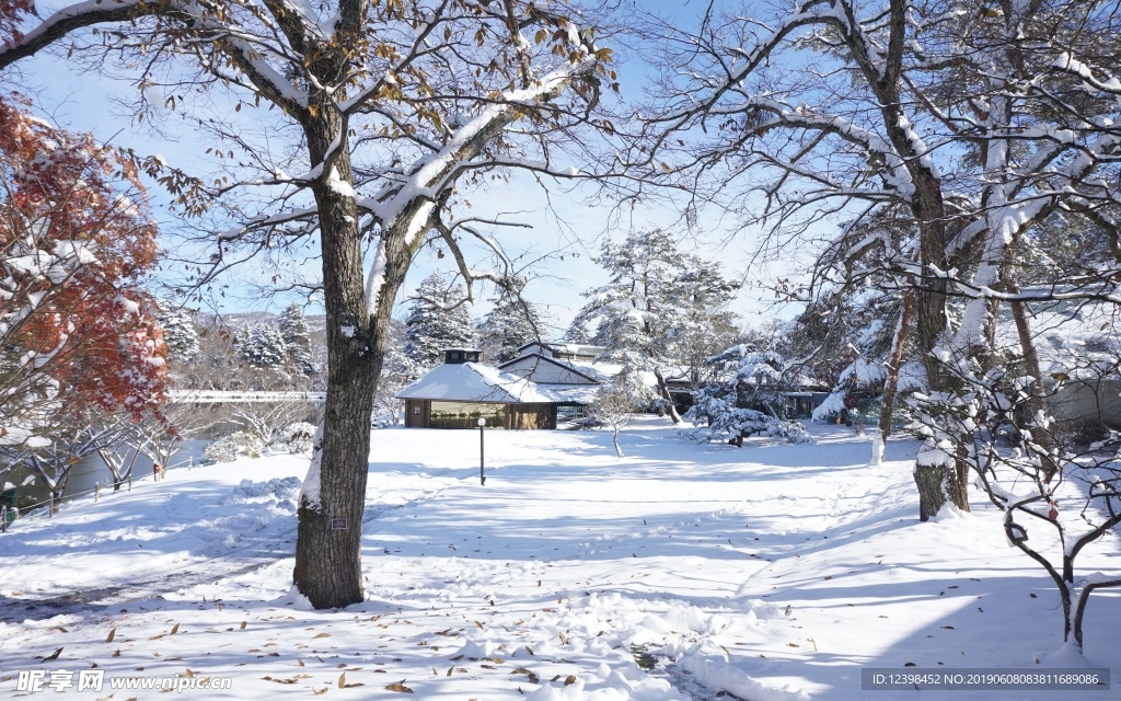 雪景树林
