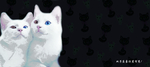 双子座猫咪鼠标垫模板