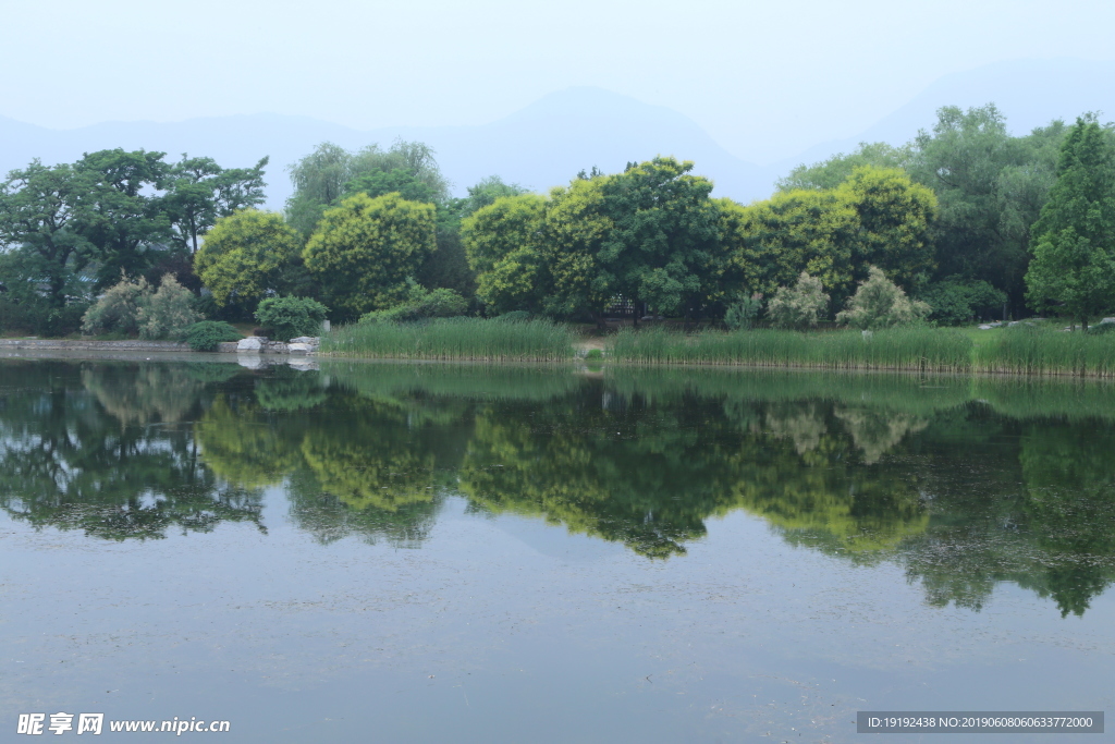 植物园美景