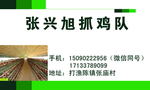 名片 抓鸡队