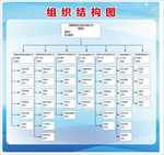 组织结构图