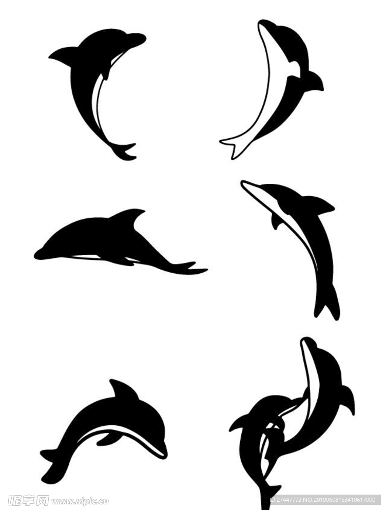海豚剪影