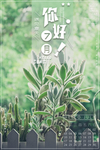你好七月