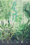 七月你好
