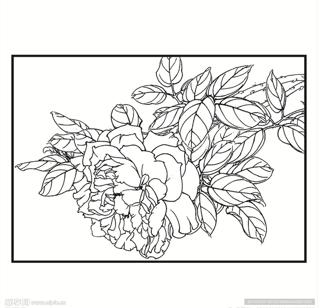 花卉