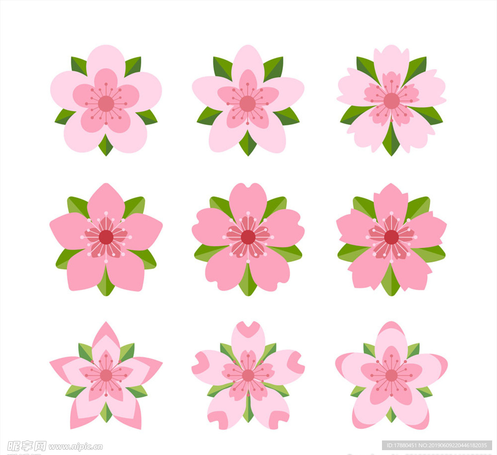 粉色带叶樱花