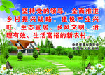 新农村
