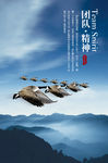 团队精神海报