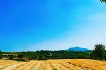 麦田摄影风景