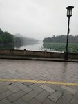 岸