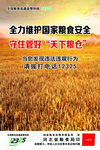天下粮仓