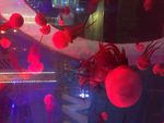 海洋生物水母图片海报元素